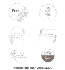 Collection of natural botanical logo design elements. Hand drawn leaves, branches, and flowers. 