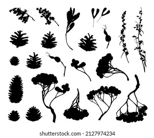 Collection of Natural botanical silhouettes. Vector design elements in country style