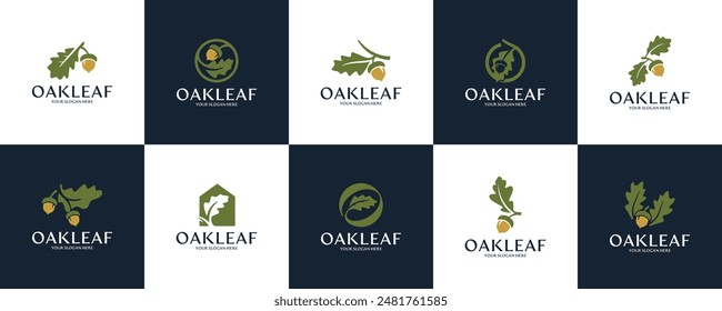 collection of natural ecology logos with the concept of oak leaf, ecosystem protection, growth, logo design illustration.