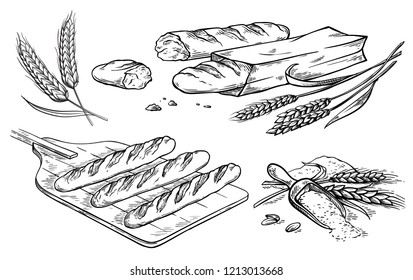 collection of natural elements of bread and flour sketch vector illustration