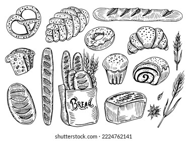 collection of natural elements of bread sketch vector illustration