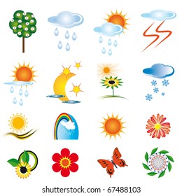 A collection of natural elements for design. Vector illustration