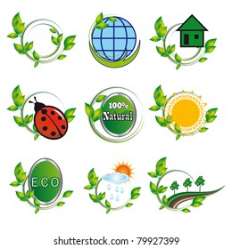 A collection of natural elements for design. Vector illustration