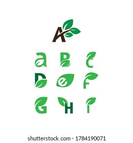 Collection of natural font green leaf illustration vector