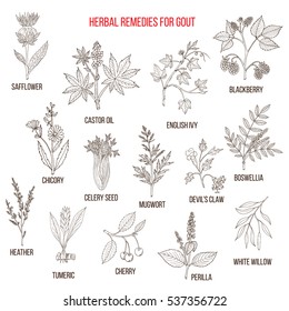 Collection Of Natural Herbs For Gout. Hand Drawn Botanical Vector Illustration