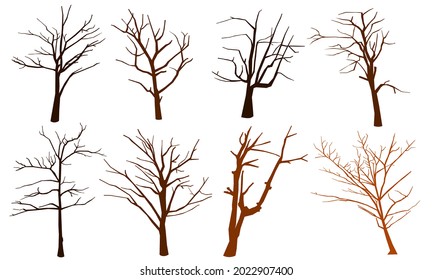Collection of natural trees silhouettes on white background, dry tree.