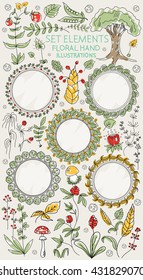 Collection natural vector floral elements. For use in the design of festive decoration, wedding, invitation cards, components, patterns, backgrounds, handmade ornament drawing.