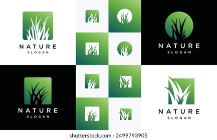 Collection of Natural Vector grass Logos. Design templates for wild grass	