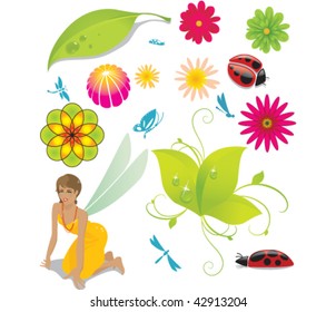 a collection or nature elements