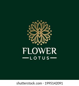 Collection of nature flower logo designs golden floral logo outline