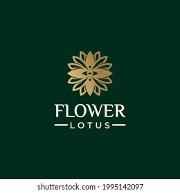 Collection of nature flower logo designs golden floral logo outline
