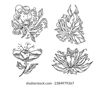 Collection of nature flower sketch hand drawn ornament vector design element template