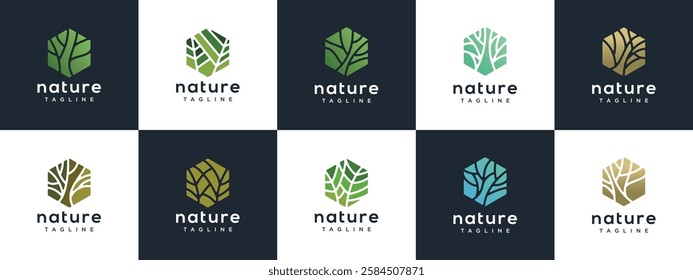 Collection of Nature tree logo designs. Hexagon nature tree logo template. Nature logo symbol icon