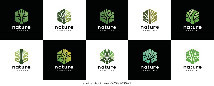 Collection of Nature tree logo designs. Hexagon nature tree logo template. Nature logo symbol icon