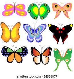 Collection from nine butterflies. Vector illustration.