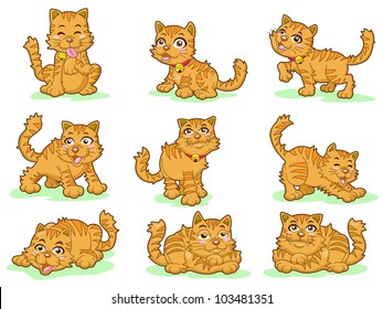 collection of nine cute kittens on white background