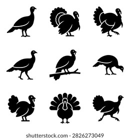 A collection of nine distinct black silhouette illustrations of turkeys in different natural poses and actions.