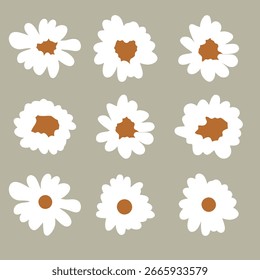 Collection of nine simple white daisy flowers with brown centers on a neutral background.