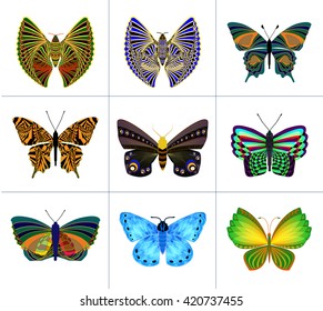 The collection of nine spectacular butterflies on the white 
background