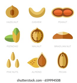 Collection of nuts in flat style. Set of nine nuts. Vector illustration. Trendy design. White background isolated