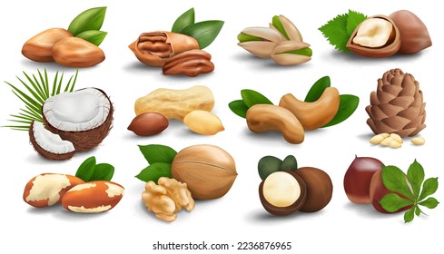 Collection of nuts isolated on a white background. Realistic vector 3d icons of nuts