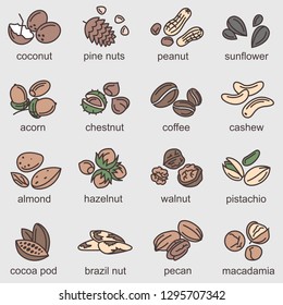 collection of nuts and seeds icons