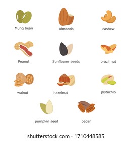collection nuts and seeds vector set of illustrations icons