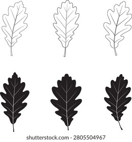 Collection of oak leaf silhouettes and line art illustrations 