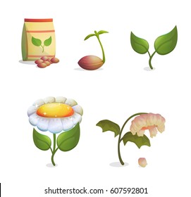 A collection of objects showing flower growing stages, seeds and a paper bag, growing sprout, flowering and fading withering plant. Game and app ui icons.