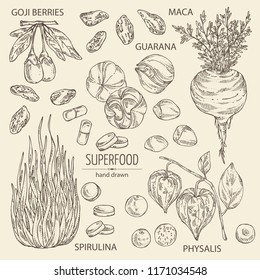 Collection ofsuper food: guarana, spirulina algae, maca peruvian, goji berries and physalis. Super food. Vector hand drawn illustration.