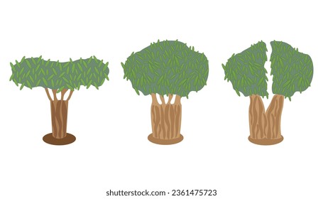 colección de olivos. Fondo blanco