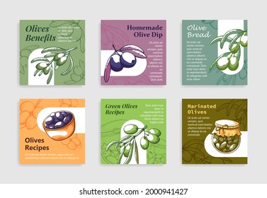 Collection of olives label with place for text vector flat illustration. Set of promo emblem template with ripe olive berries, recipes cooking isolated. Edible harvest on branches, in bowl and bottle