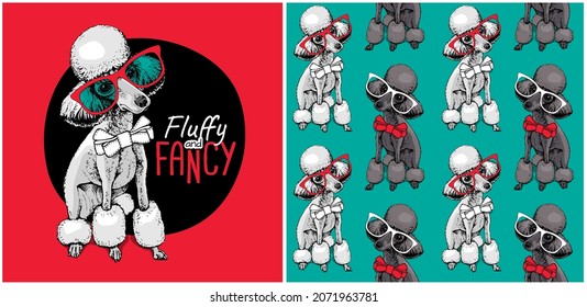 Collection of one print and one seamless pattern. Cute Poodle in the glasses with the Bow Tie. Humor textile composition, hand drawn style print. Vector illustration.