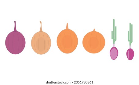 collection of onions. white background