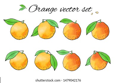 Collection of orange fruit icons with watercolor texture. Vector stock set. Cute doodles. Summer fruit, sweet citrus for orange juice. Can be used for printed materials. Hand drawn design elements. 