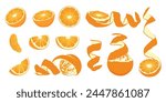 Collection of orange fruit slices. Flat vector orange fruit from different sides.	