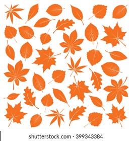 Collection of Orange Leafs. Vector Illustration.