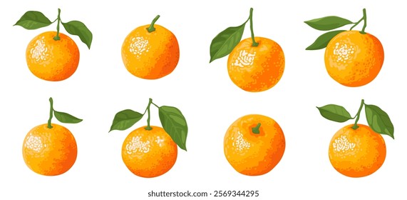 Collection of orange sweet tangerines with green leaves isolated on white background. Fresh ripe fruit.