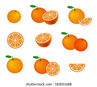 Collection of oranges, isolated on white background, vector illustration.