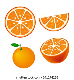 Collection of oranges, isolated on white background, vector illustration.