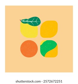 a collection of oranges with various variants