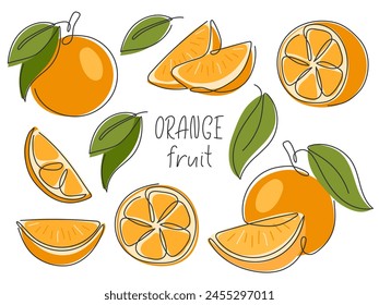 Collection of oranges whole, half, slice, piece. Abstract line drawn tropical citrus fruit with leaves isolated on white. Orange parts for design. Healthy vitamin food