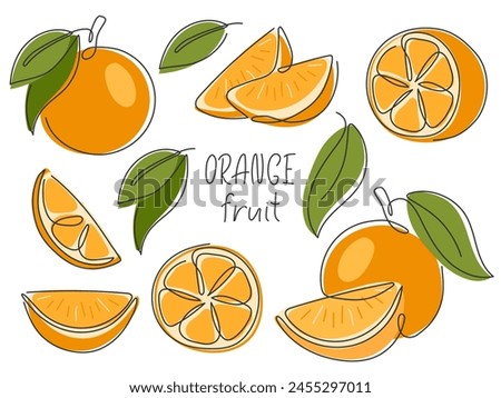 Collection of oranges whole, half, slice, piece. Abstract line drawn tropical citrus fruit with leaves isolated on white. Orange parts for design. Healthy vitamin food
