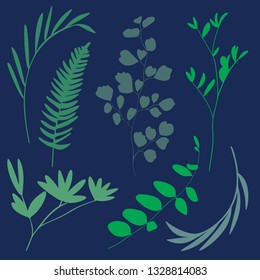Collection of Organic Botanical Elements