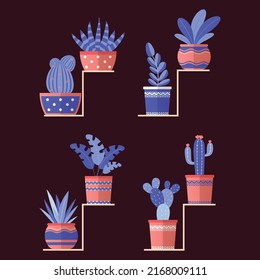 Collection of Organic colorful decorative trendy home plants and tropical plants.	