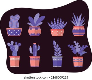 Collection of Organic colorful decorative trendy home plants and tropical plants.	