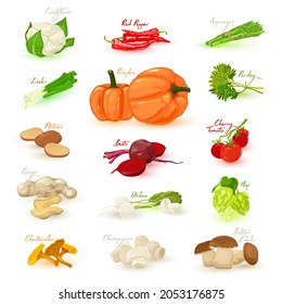 Collection of organic fresh clean eating, natural farm product, vegetarianism. Vector healthy and vitaminized veggies, seasonal vegs, food idea. Isolated on white background