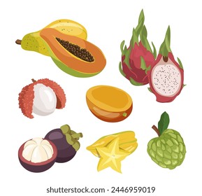 Collection of organic fresh fruits natural fruit vector illustration isolated on white background