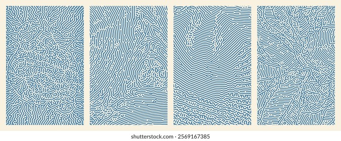 A collection of organic Turing abstract line patterns for background design