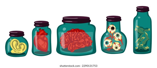 A collection of organs and specimens stored in glass jars. The jars contain human ears, eyes, brains, heart, fingers from zombies. the witch's supplies. Illustration for Halloween. A set for a potion